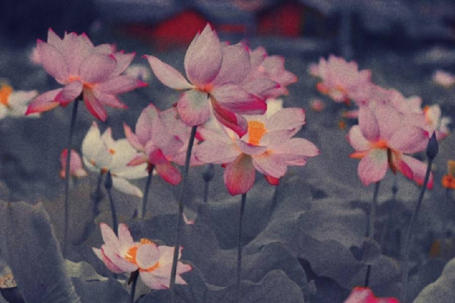 多学一样本事，实力才是一个人最强的底气  #励志语录(图6)