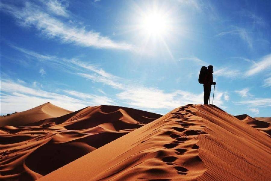 多学一样本事，实力才是一个人最强的底气  #励志语录(图8)