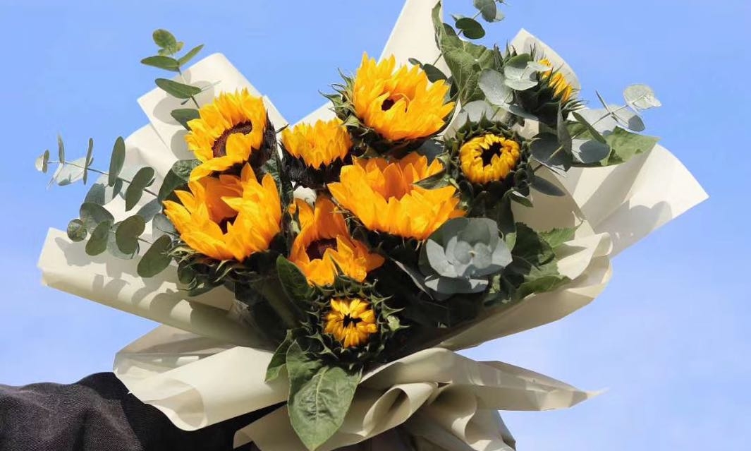 多学一样本事，实力才是一个人最强的底气  #励志语录(图10)