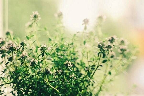 多学一样本事，实力才是一个人最强的底气  #励志语录(图12)