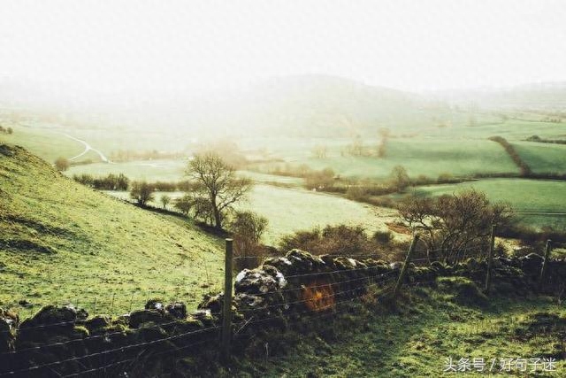 人生格言励志语录，句句正能量，想成功者必收藏！(图3)