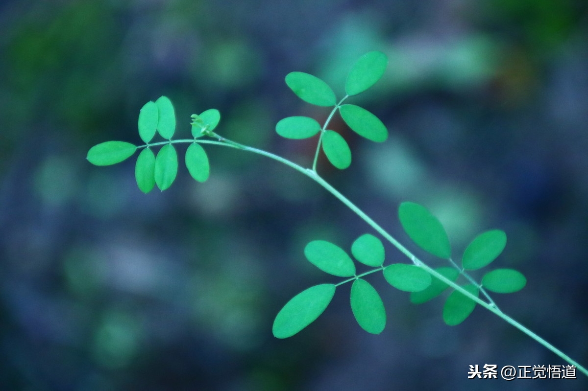 业精于勤年的名人名言50条(图6)