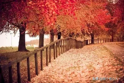 人生路上，鞋要合脚，人要合拍（经典）(图1)