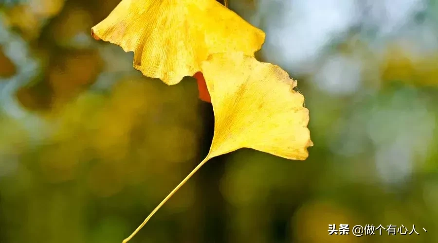 人生路上，鞋要合脚，人要合拍（经典）(图2)