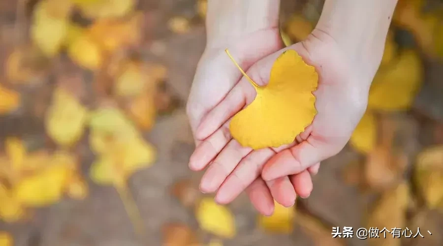 人生路上，鞋要合脚，人要合拍（经典）(图3)