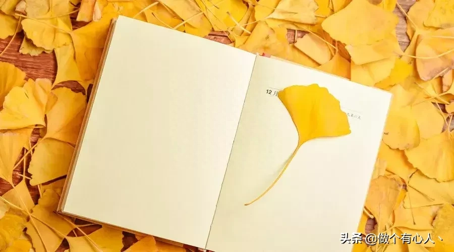 人生路上，鞋要合脚，人要合拍（经典）(图4)