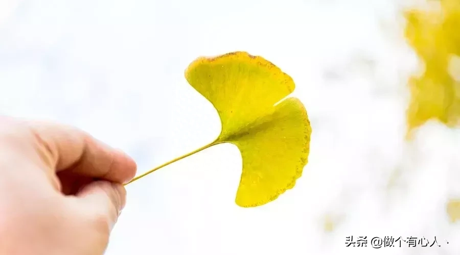 人生路上，鞋要合脚，人要合拍（经典）(图5)