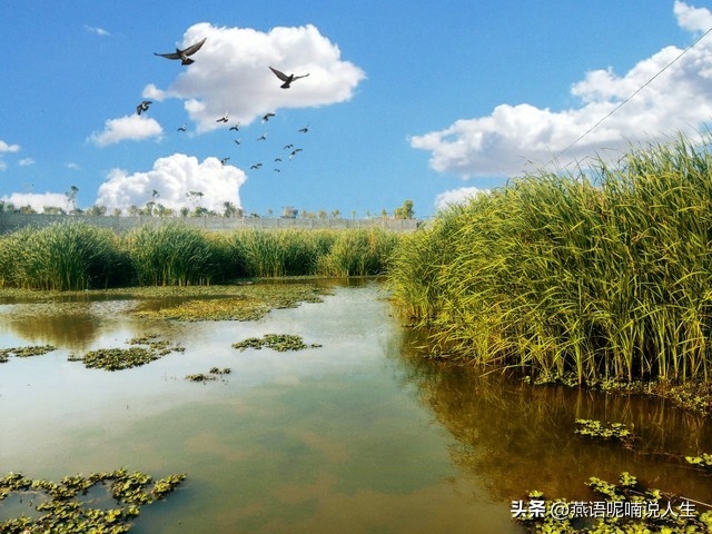 微信昵称使用真实姓名的几类人(图4)