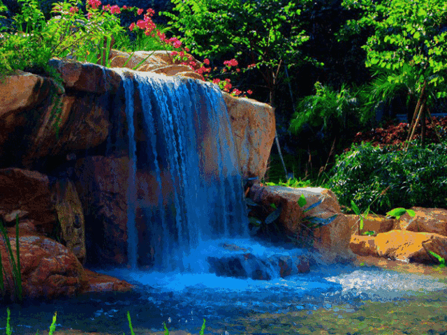 作家在线｜姜贝：人生最美是清秋(图2)