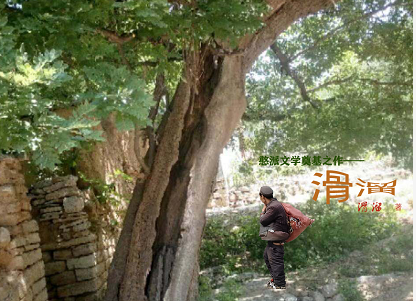 作家在线｜姜贝：人生最美是清秋(图7)