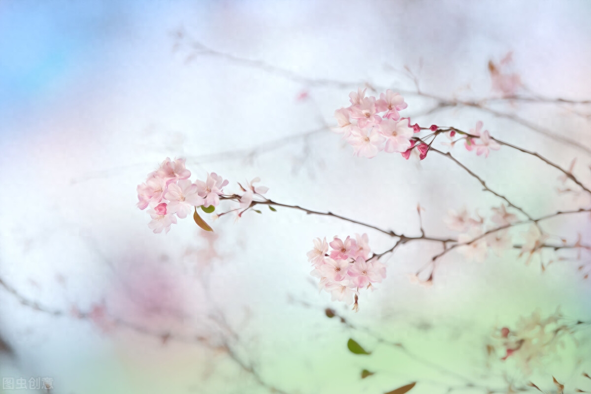 慢品人间烟火色，闲观万事岁月长(图2)