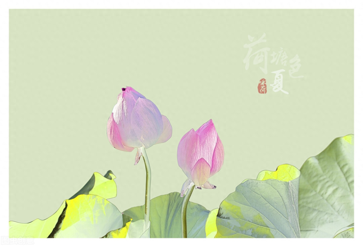 慢品人间烟火色，闲观万事岁月长(图3)