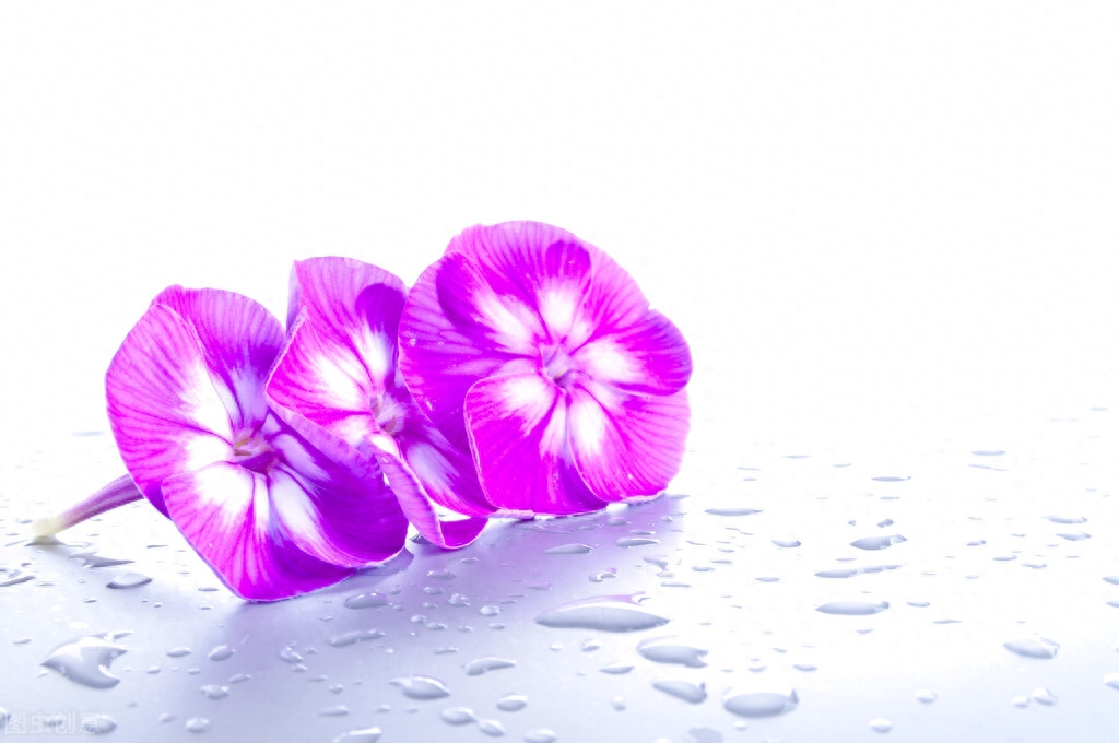 慢品人间烟火色，闲观万事岁月长(图5)