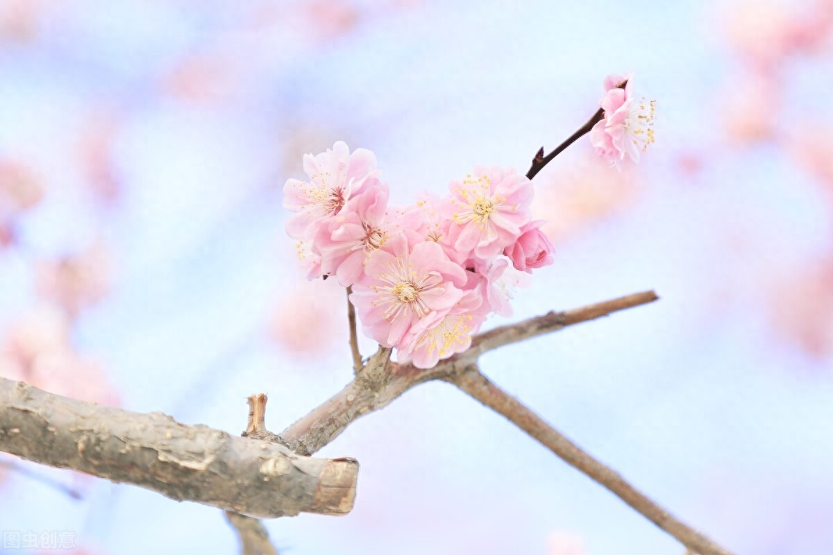 慢品人间烟火色，闲观万事岁月长(图6)