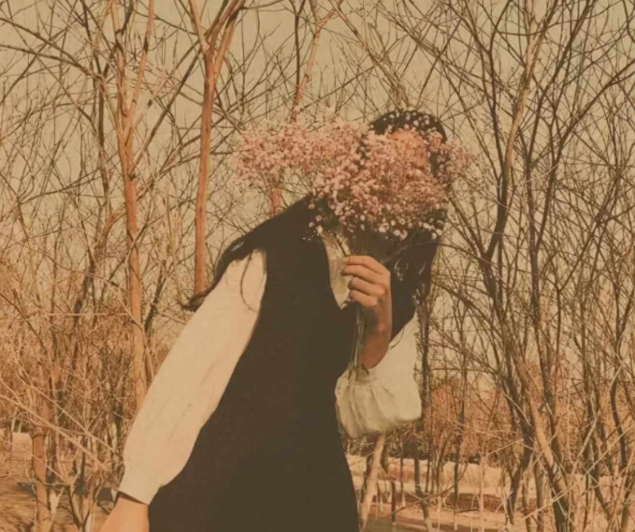 Wechat个签简约短句(图7)