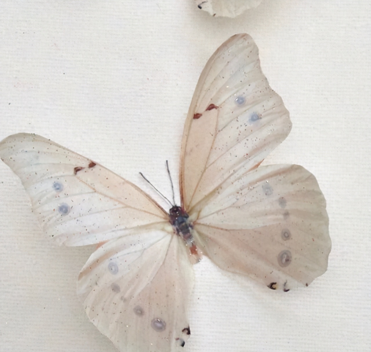 个性签名简单干净短句(图1)