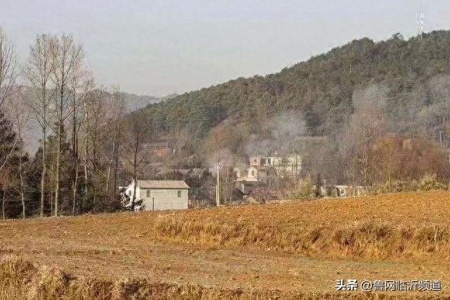 谁言寸草心，报得三春晖—再读《母亲爱唠叨》(图1)