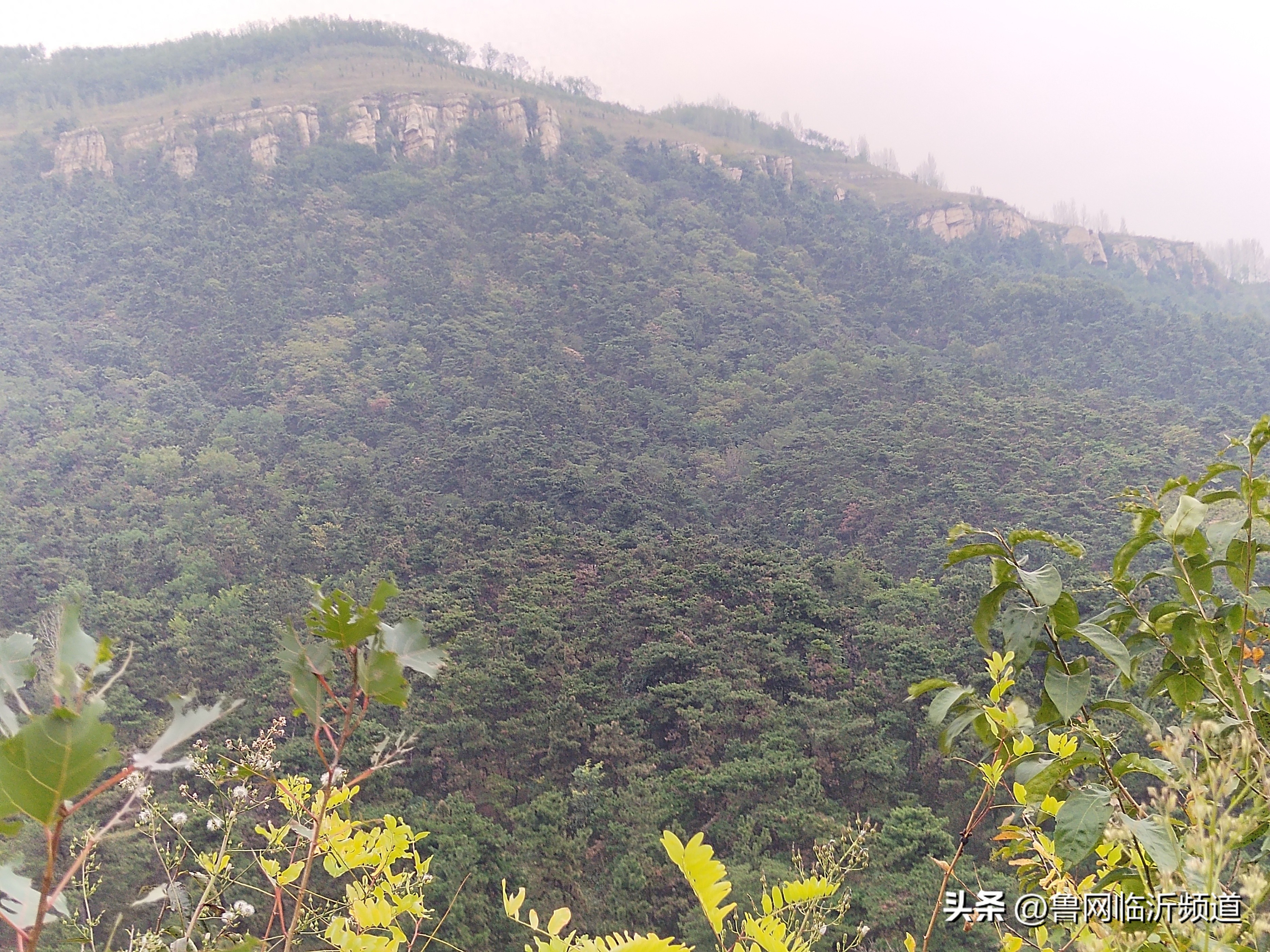 谁言寸草心，报得三春晖—再读《母亲爱唠叨》(图2)