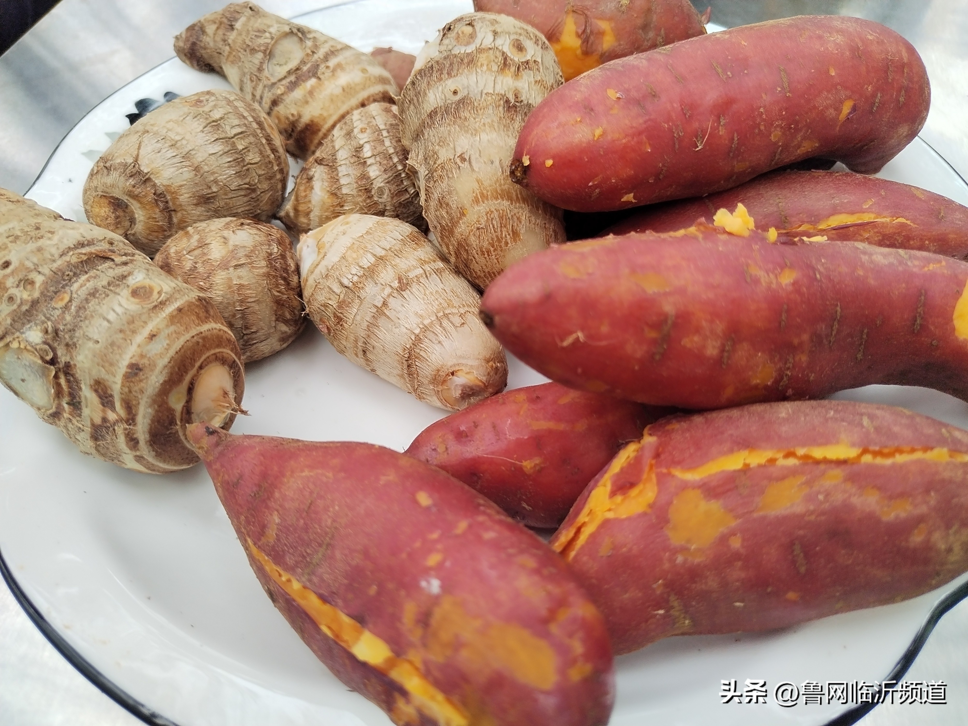 谁言寸草心，报得三春晖—再读《母亲爱唠叨》(图3)