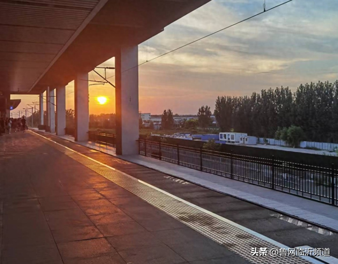 谁言寸草心，报得三春晖—再读《母亲爱唠叨》(图7)