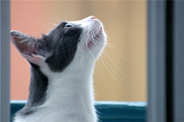 早上好！送给努力的人的励志句子，句句扎心(图4)