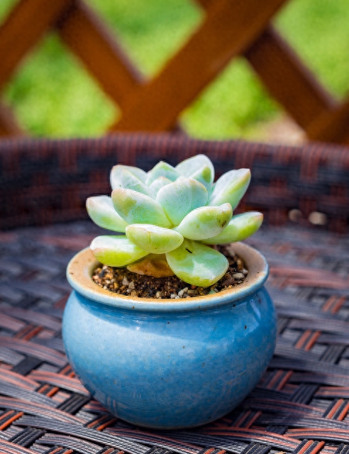 一发就会被秒赞的句子(图2)