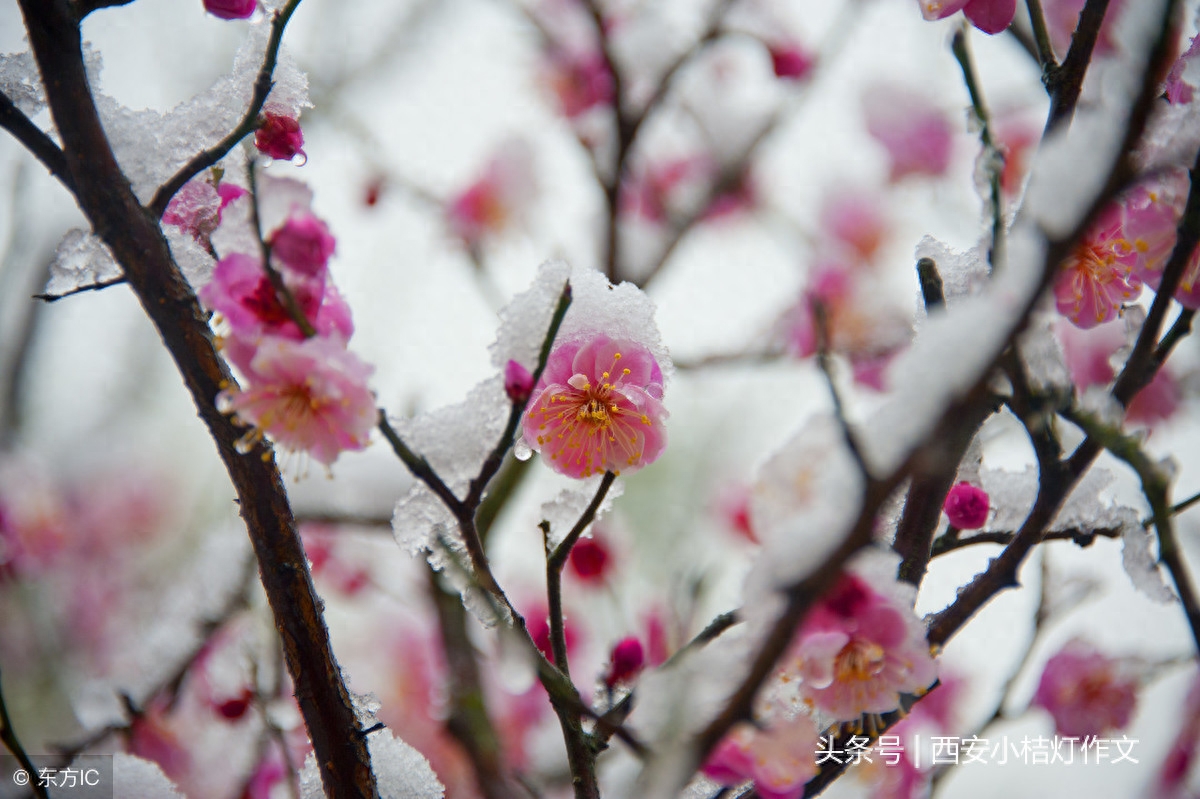 作文如何结尾才能得高分？（附原创精彩结尾20例）(图3)