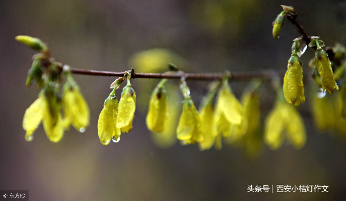 作文如何结尾才能得高分？（附原创精彩结尾20例）(图4)