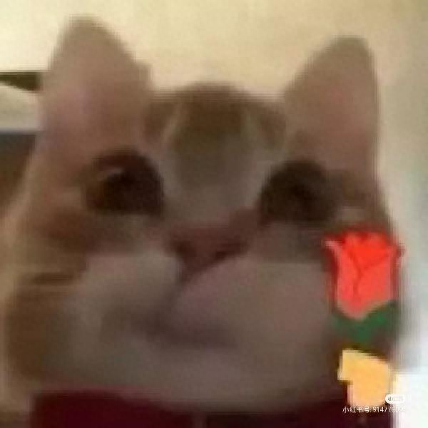 激励自己，逆光而行的文案(图1)