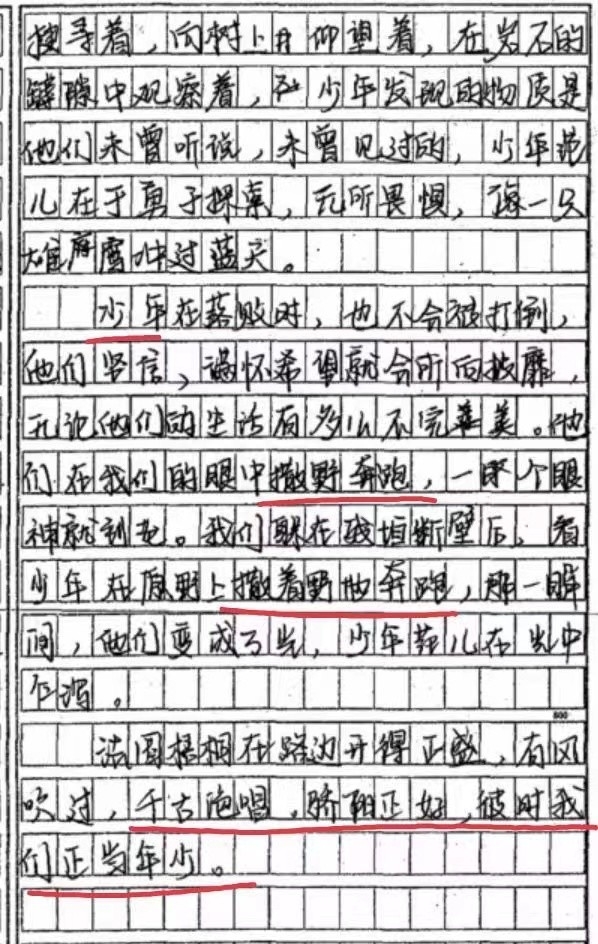 考试作文《撒野奔跑》出分数了，老师一句话评论，与《撒野》有关(图6)