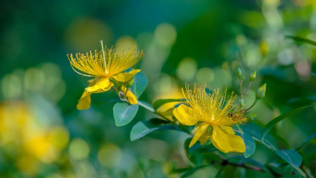 形容云的优美句子70条经典语录大全(图2)