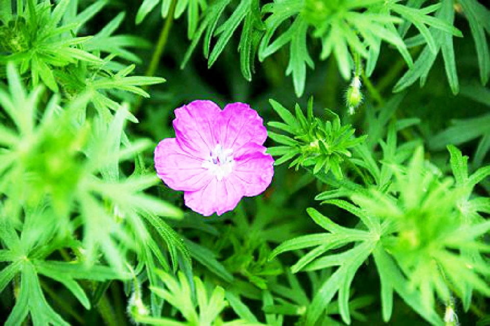 微信上很走心的句子，发朋友圈很多人点赞，值得珍藏(图1)