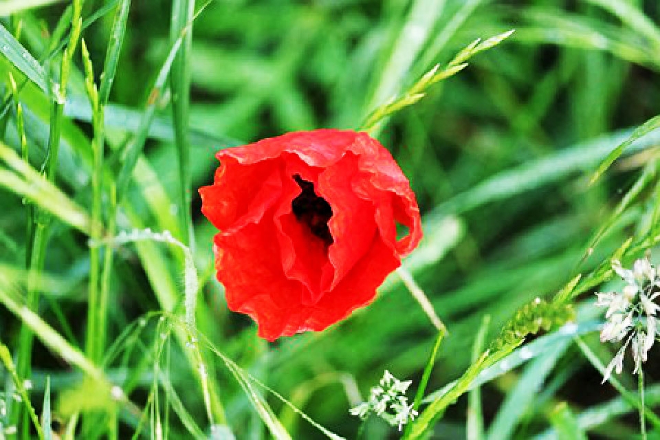 微信上很走心的句子，发朋友圈很多人点赞，值得珍藏(图2)