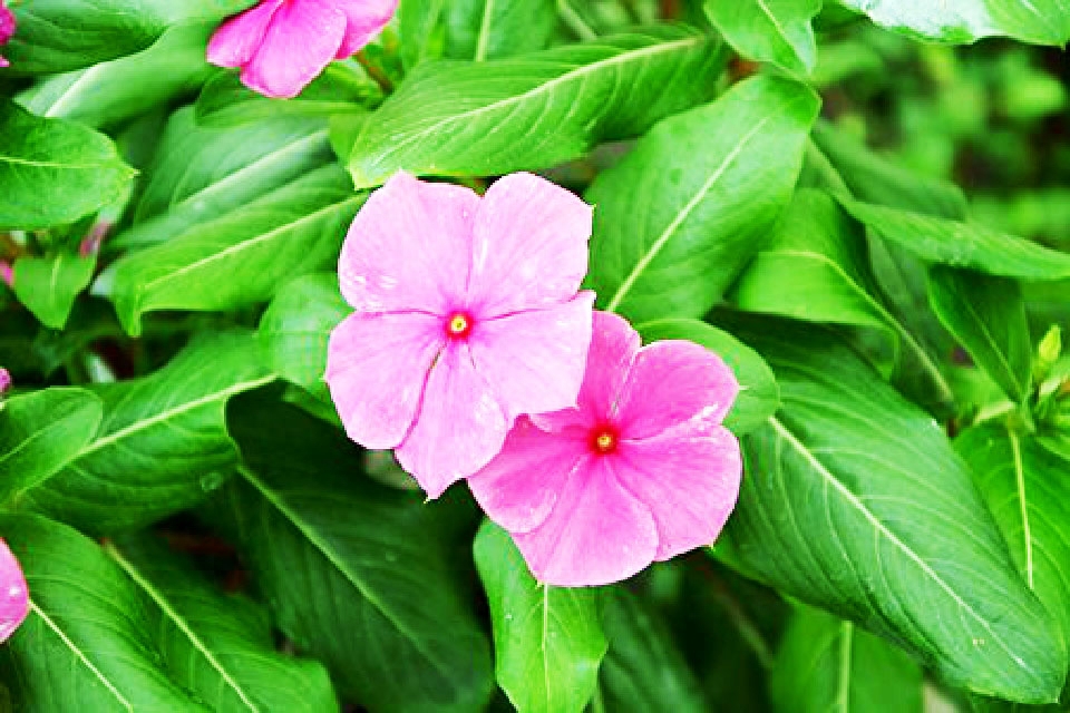 微信上很走心的句子，发朋友圈很多人点赞，值得珍藏(图3)