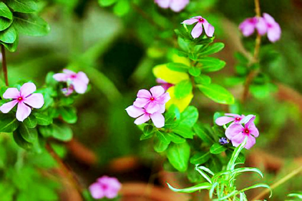 微信上很走心的句子，发朋友圈很多人点赞，值得珍藏(图4)