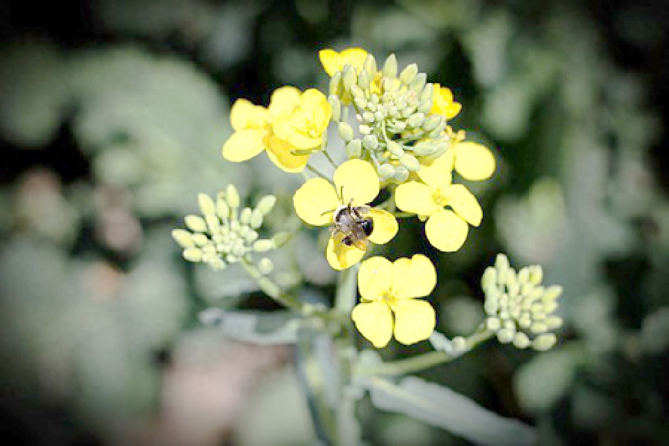 微信上很走心的句子，发朋友圈很多人点赞，值得珍藏(图5)
