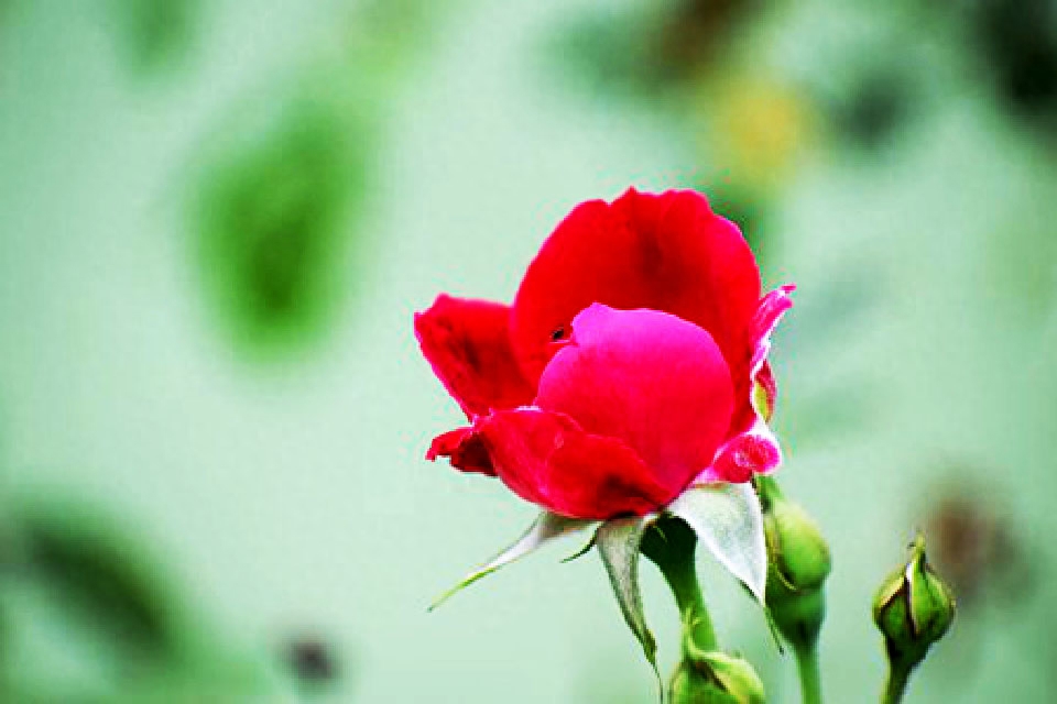 微信上很走心的句子，发朋友圈很多人点赞，值得珍藏(图6)