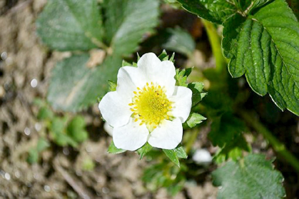 微信上很走心的句子，发朋友圈很多人点赞，值得珍藏(图7)