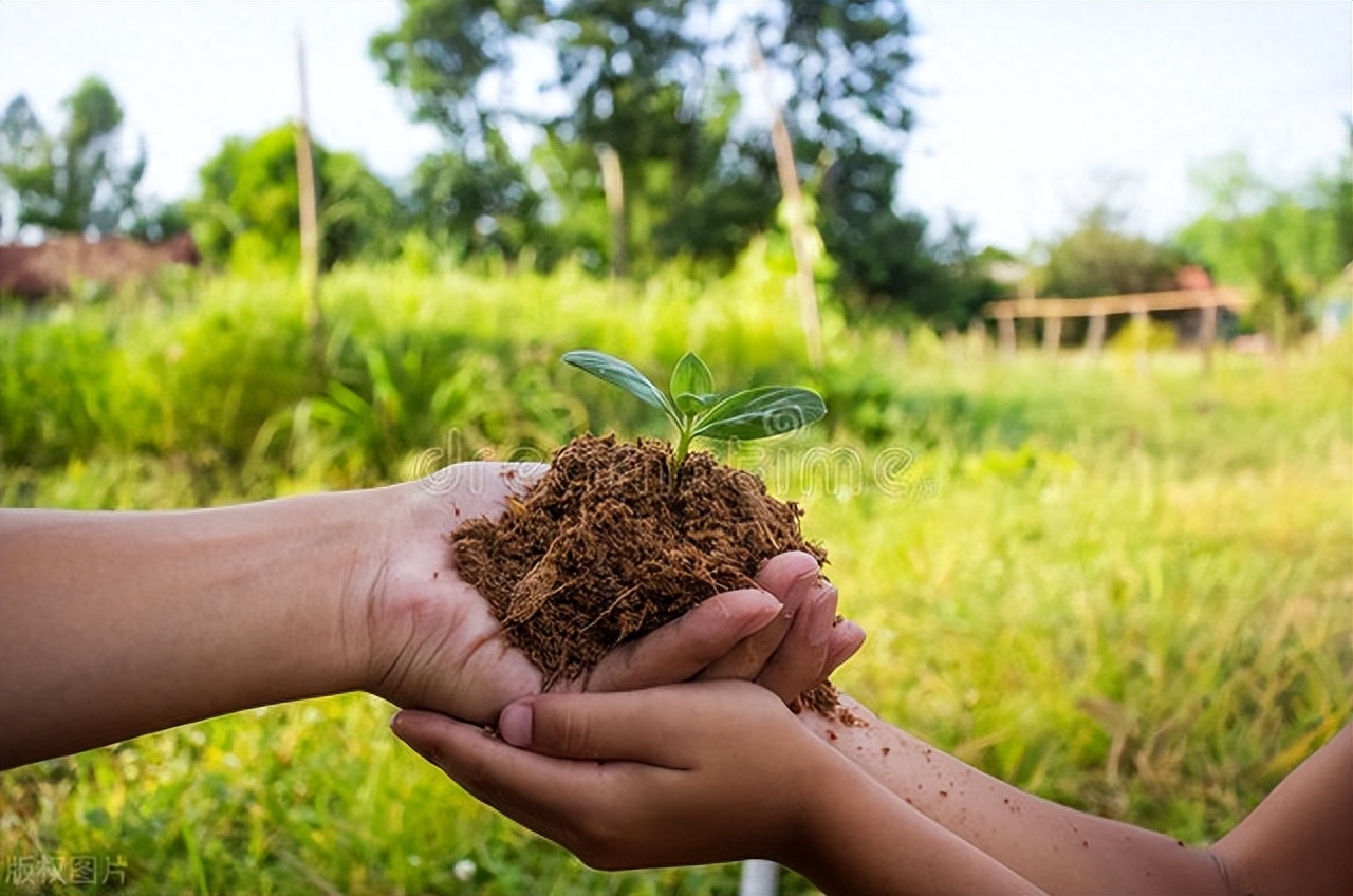 爱好是一种享受的句子（关于爱好的唯美句子）(图3)