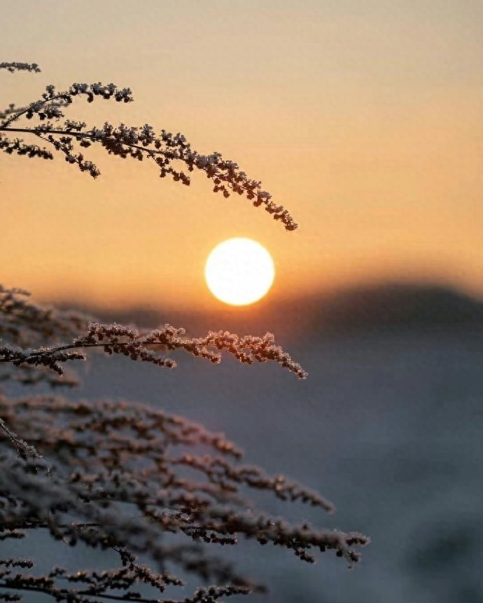 最经典的7句话，渡了无数人，你知道几句？(图1)