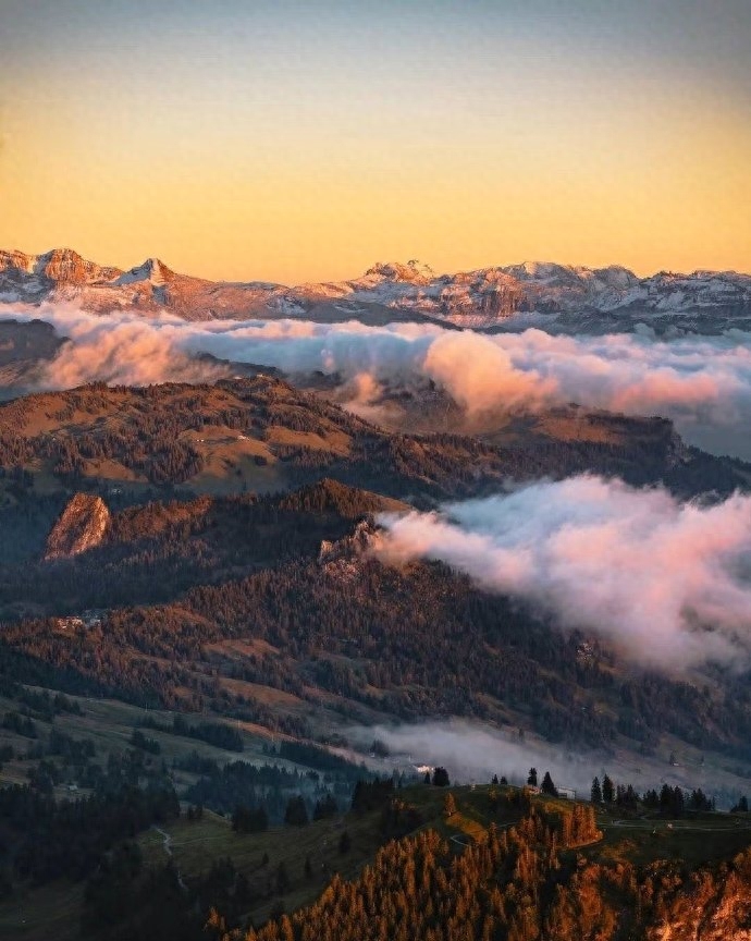 最经典的7句话，渡了无数人，你知道几句？(图2)