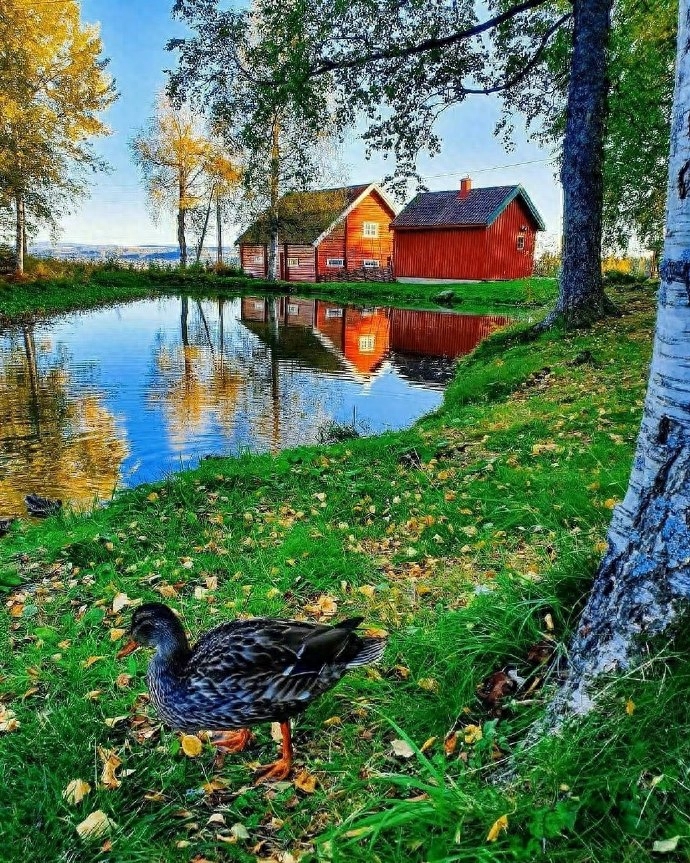 最经典的7句话，渡了无数人，你知道几句？(图4)