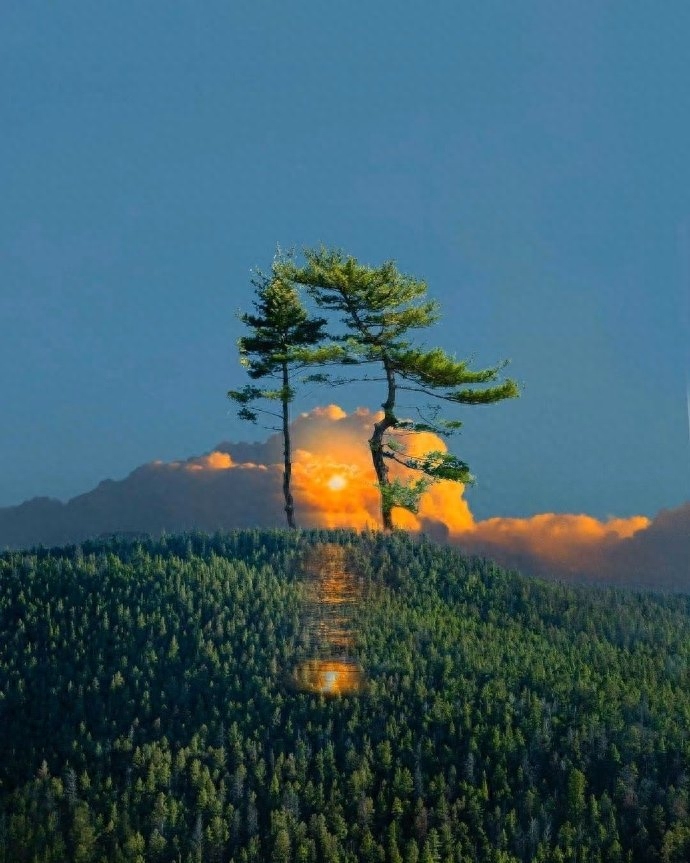 最经典的7句话，渡了无数人，你知道几句？(图5)