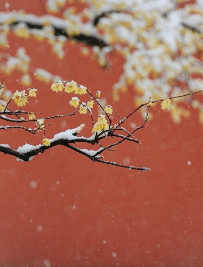 最经典的7句话，渡了无数人，你知道几句？(图6)