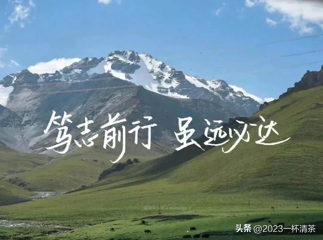 早安励志语｜唯有坚持拼搏，才有机会实现梦想(图14)