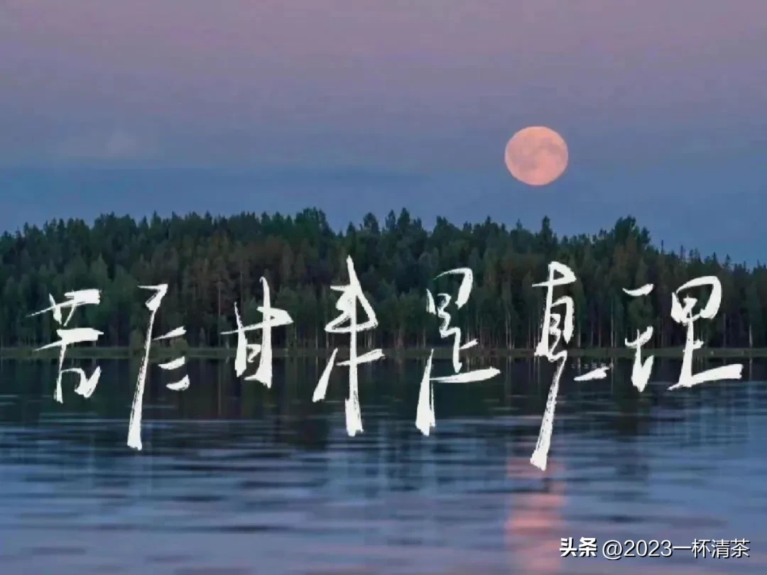 早安励志语｜唯有坚持拼搏，才有机会实现梦想(图18)