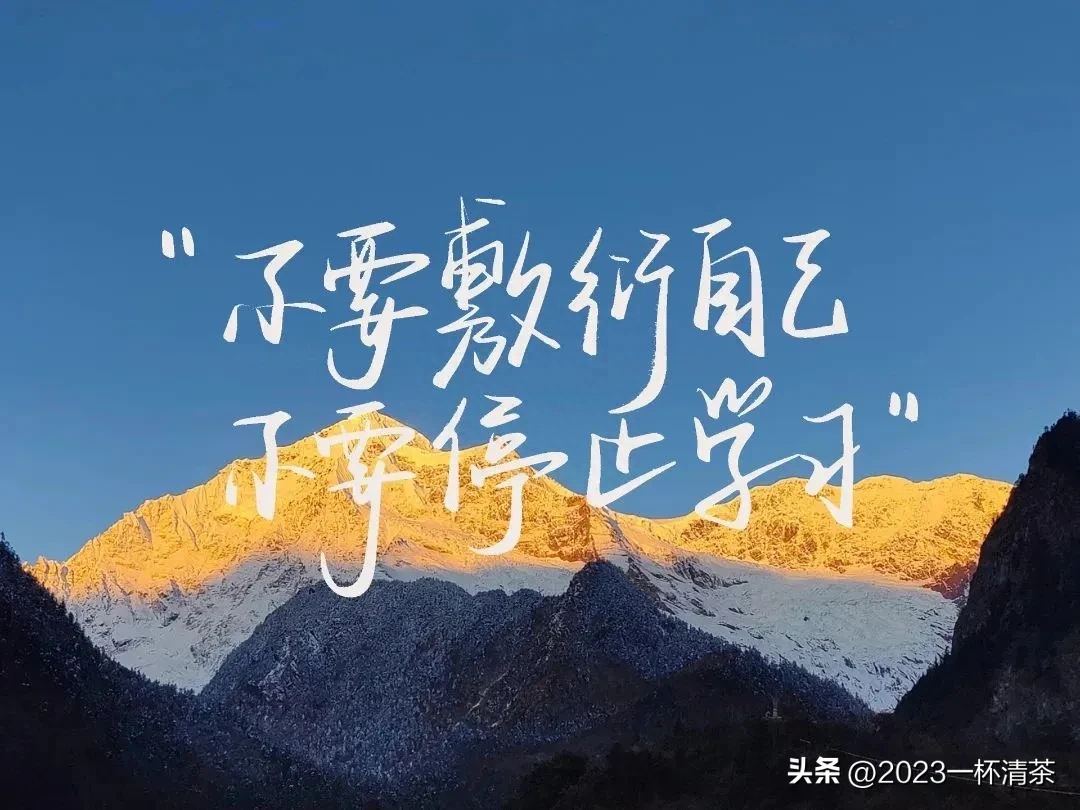 早安励志语｜唯有坚持拼搏，才有机会实现梦想(图22)