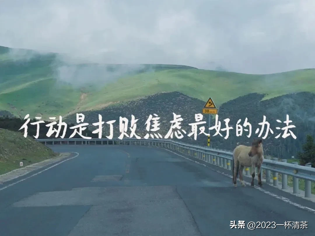 早安励志语｜唯有坚持拼搏，才有机会实现梦想(图24)