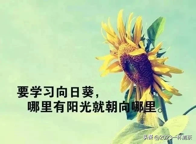 早安励志语｜唯有坚持拼搏，才有机会实现梦想(图28)