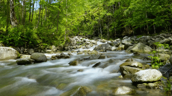 一千句：13字人生格言(图2)